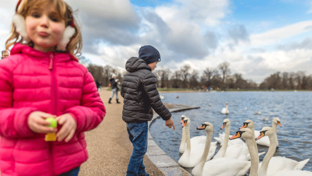 October half-term